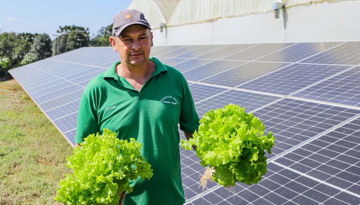  Transformação energética nos hidropônicos: energia solar reduz conta de produtor em 85%